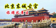 搡老女人老妇女老熟女们的逼逼中国北京-东城古宫旅游风景区